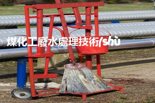 煤化工廢水處理技術(shù)革新：環(huán)保未來(lái)何去何從？